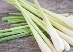 Amla Layan interior photo 2 — Thai massage in Phuket