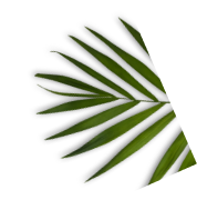 Oroma Massage - ร้านนวด โอโรม่า massage shop photo 10