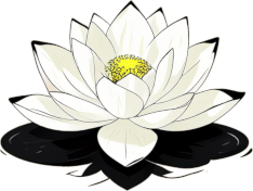 Thai Aroma Massage interior photo 3 — Oil massage in Koh Samui