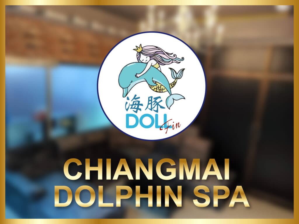 Dolphin 海豚~B2B/Karsai抓龙筋/Yoni抓凤筋 — Massage in Chiang Mai, Thailand