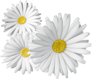 Thai Best Massage - Bangkok Ratchathewi massage shop photo 10